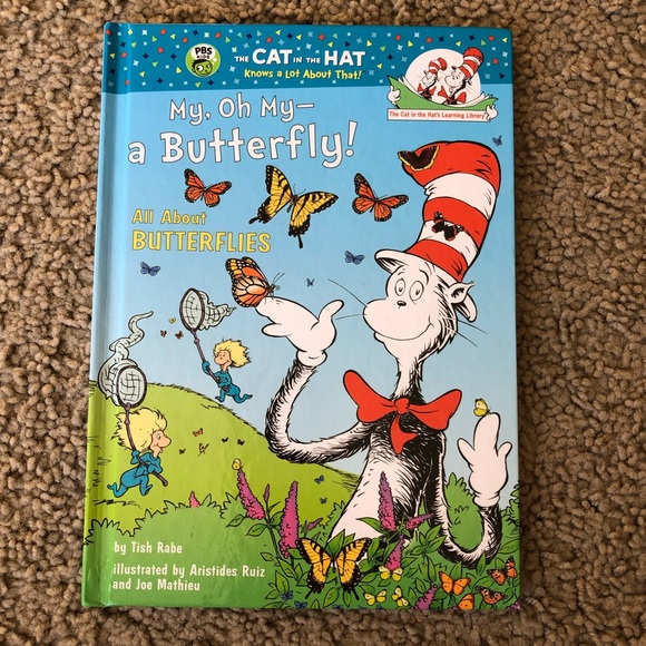 De Seuss Cat in the Hat. My oh my - a butterfly! - Picture 1 of 9